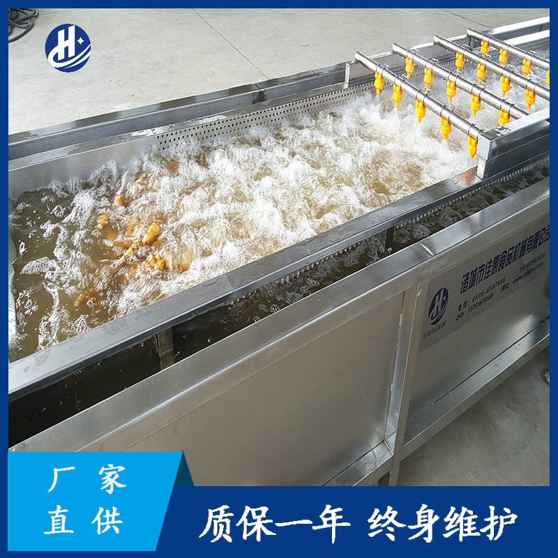 大型自動化洗姜機器 平行式高壓噴淋清洗機 鮮姜姜芽生姜清洗設(shè)備