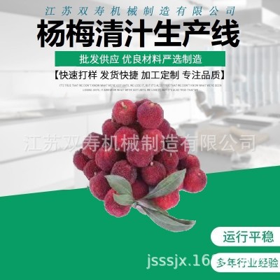 廠家直銷優(yōu)質(zhì)的楊梅原汁清汁濃縮汁濁汁果醬飲料生產(chǎn)線