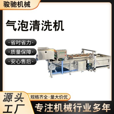 廠家直供果蔬氣泡清洗機水果蔬菜清洗設(shè)備預(yù)制菜凈菜 洗菜機器