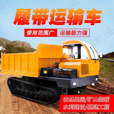 5噸水氣兩用液壓自卸車(chē) 隧道基地工程運(yùn)輸車(chē) 履帶運(yùn)輸車(chē)