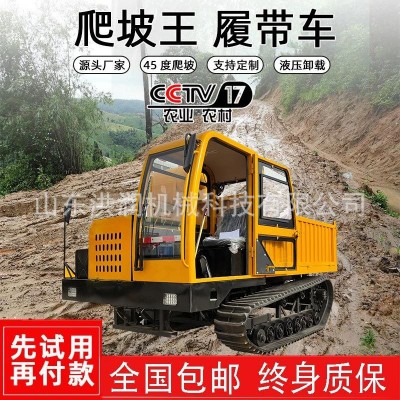 電子水噴淋履帶運(yùn)輸車 山地商混運(yùn)輸爬山虎 8噸全地形運(yùn)輸自卸車