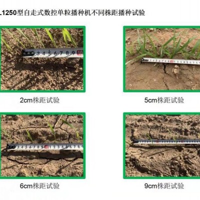 自走式數(shù)控單粒播種機(jī)(谷物類)