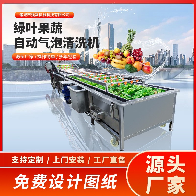 多功能全自動果蔬蔬菜清洗機(jī)氣泡式噴淋豆角清洗機(jī)洗菜機(jī)設(shè)備廠家