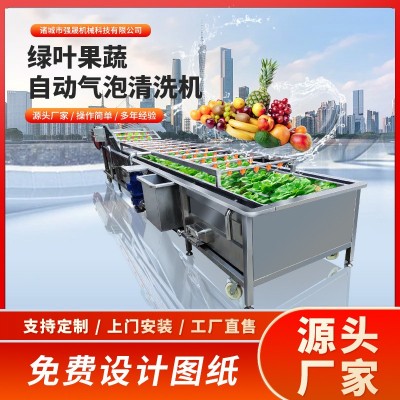 多功能全自動果蔬蔬菜清洗機氣泡式噴淋豆角清洗機洗菜機設(shè)備廠家
