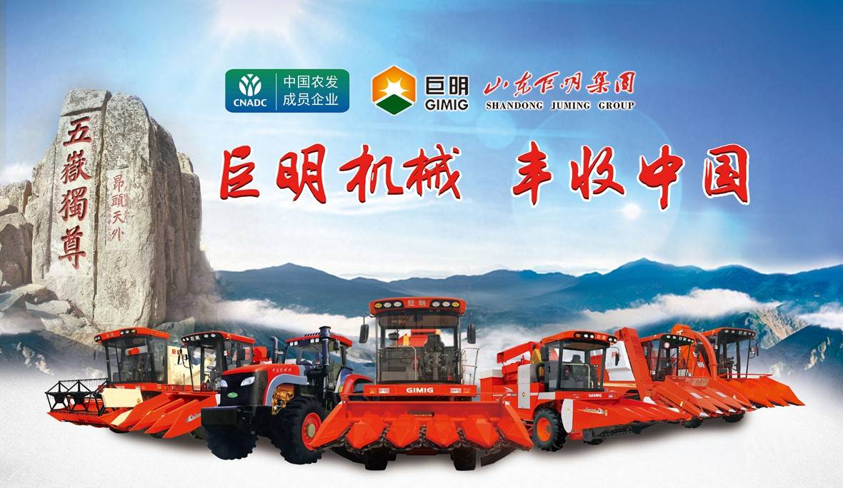 巨明 巨明.jpg