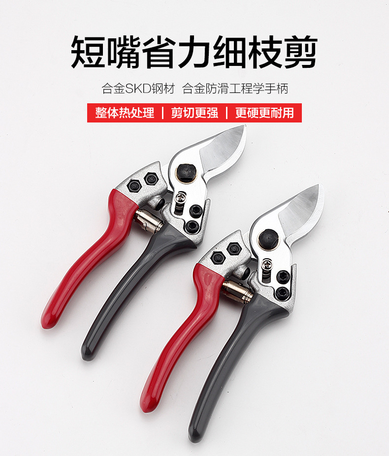 園林剪刀本色_01.jpg