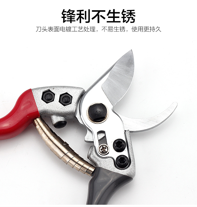 園林剪刀本色_05.jpg