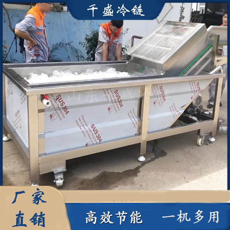 農(nóng)產(chǎn)品清洗機 蔬菜深加工設(shè)備 果蔬清洗設(shè)備 清洗流水線