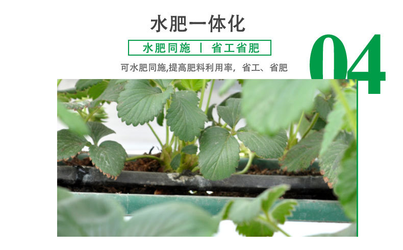 雙孔滴灌帶_07