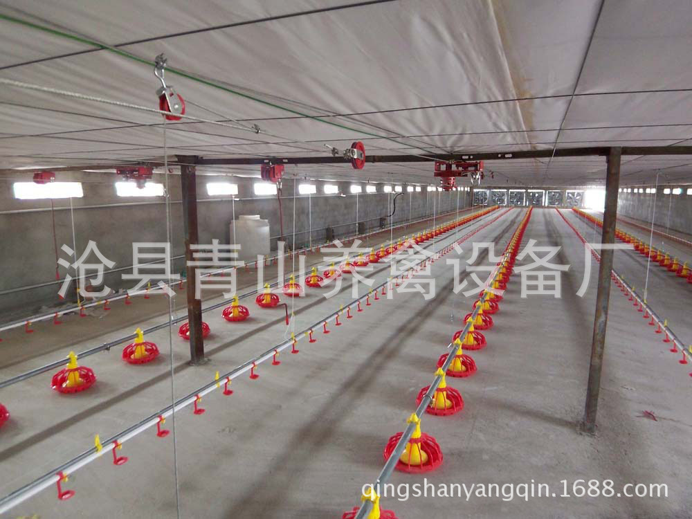 供應養(yǎng)雞水線 全自動養(yǎng)雞水線 肉雞養(yǎng)殖設(shè)備 平養(yǎng)雞料線 水線