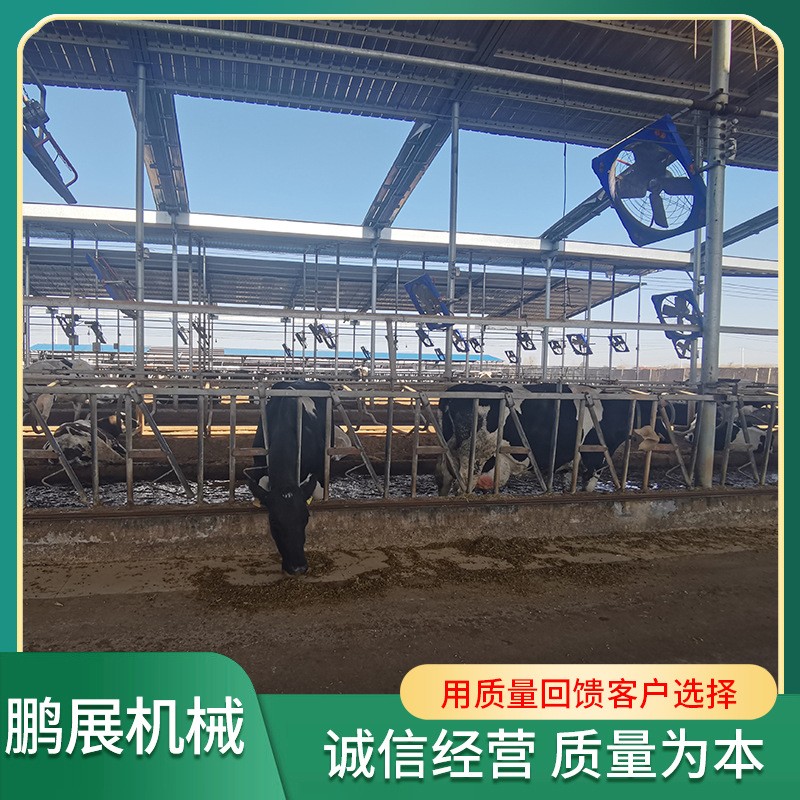 現(xiàn)貨供應牛頸夾 養(yǎng)牛牧場用畜牧設(shè)備牛頸夾 自鎖式牛頸夾
