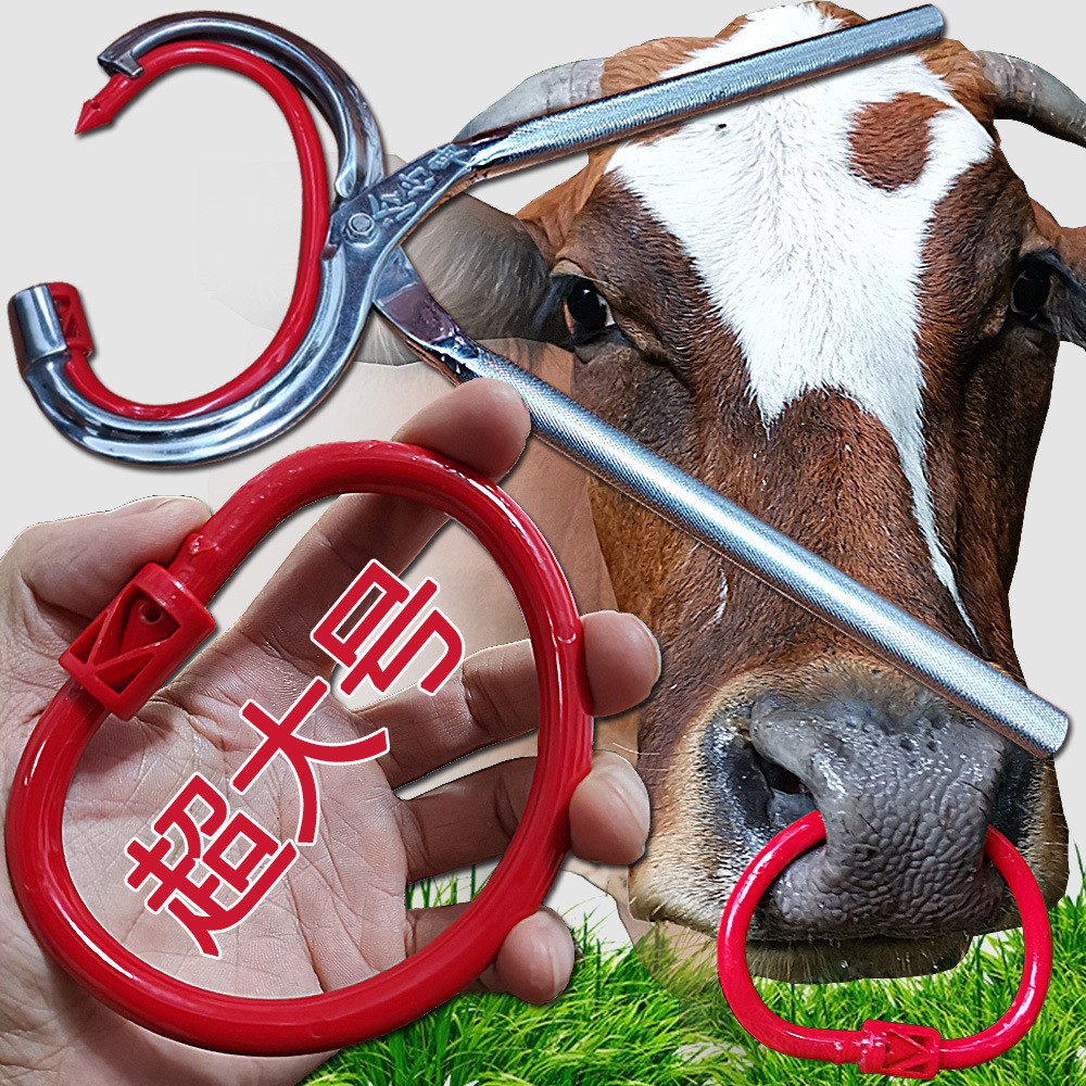 廠家直銷特大號養(yǎng)牛器械設(shè)備 牛鼻環(huán)牛鼻圈 牛鼻鉗子穿孔打孔鉗子