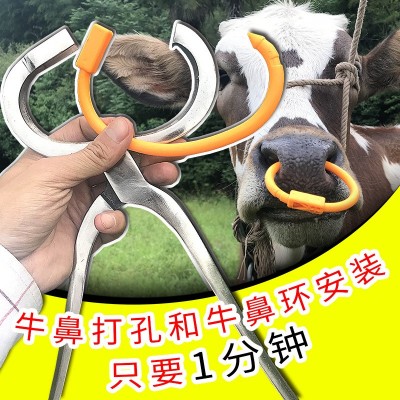 廠家直銷塑料養(yǎng)牛場器械設備牛鼻圈安裝鉗子打孔鉗子穿孔鉗牛鼻環(huán)