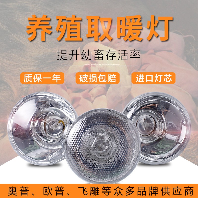 藍鳥養(yǎng)殖專用取暖燈小雞仔豬仔育雛獸用加熱烤燈設(shè)備加厚保溫燈泡