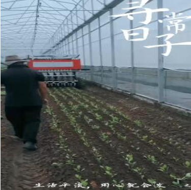 蔬菜移栽機(jī)