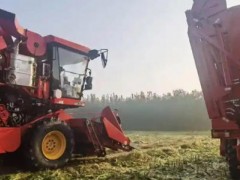 濰坊“三秋”保障、農機作業(yè)、烘干點、履帶式收獲機信息一覽
