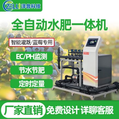 水肥一體機藍莓精量農(nóng)業(yè)全智能果園農(nóng)田大棚過濾滴噴灌溉 施肥設(shè)備