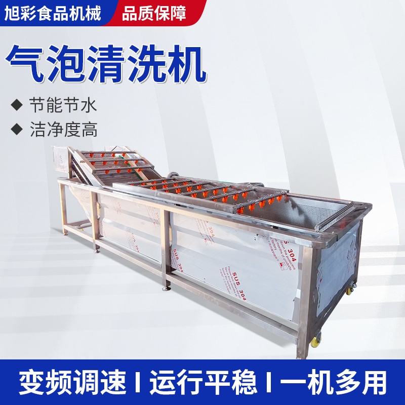 柑橘氣泡清洗機(jī)楊梅草莓果蔬噴淋清洗設(shè)備圣女果全自動氣泡清洗機(jī)