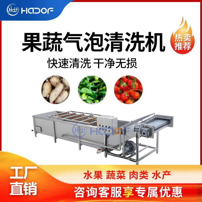 全自動瓜果蔬菜氣泡清洗機(jī)不銹鋼噴淋式洗菜機(jī)中央廚房凈菜產(chǎn)線