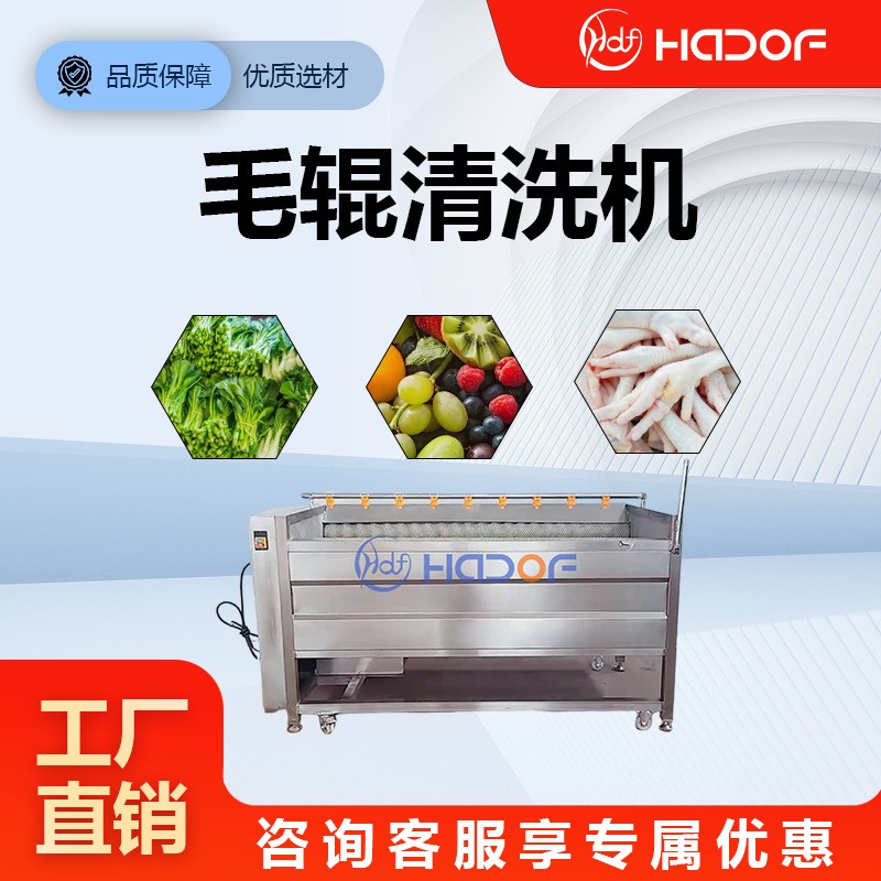 全自動洗姜機(jī)山藥馬蹄毛輥清洗機(jī)不銹鋼預(yù)制菜加工清洗整條產(chǎn)線