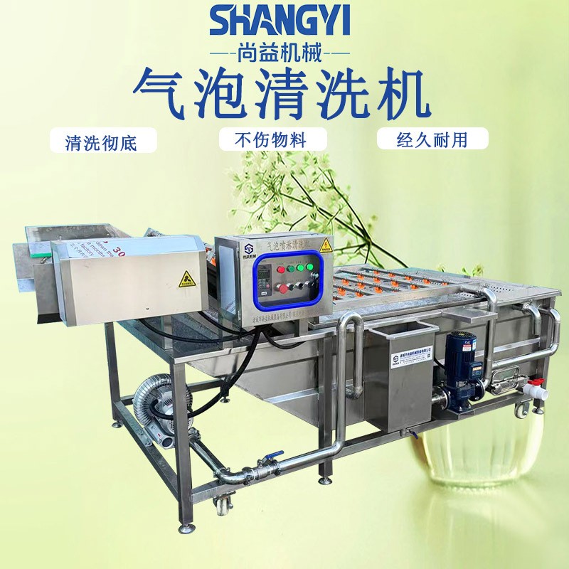 商用氣泡果蔬清洗機(jī)中央廚房葉菜根莖類清洗設(shè)備食品廠洗菜機(jī)