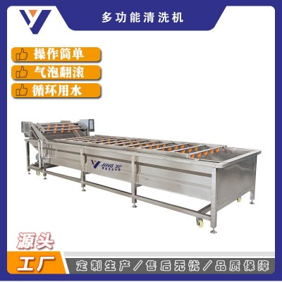 鐵皮石斛清洗機(jī) 大型中草藥加工流水線(xiàn) 全自動(dòng)黃芪清洗機(jī)