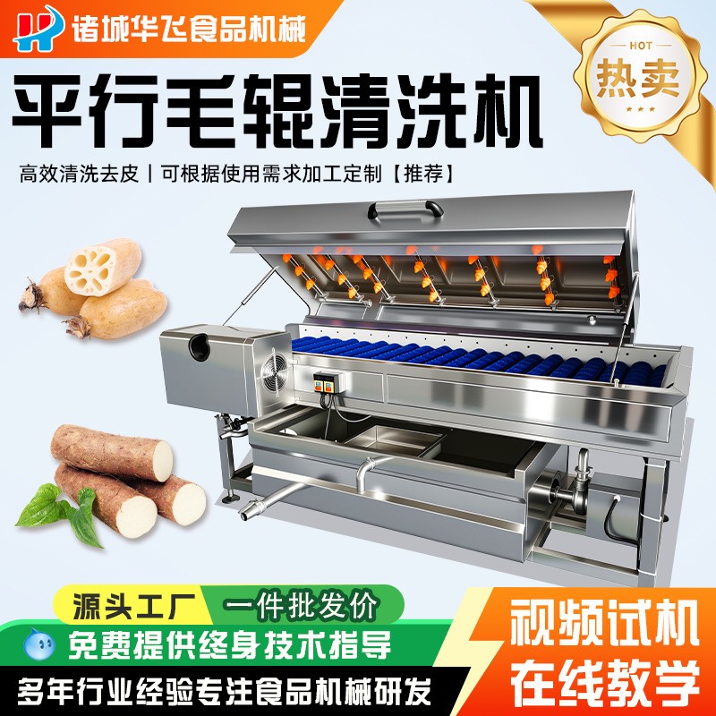 全自動(dòng)平行毛輥清洗機(jī)土豆山藥紅薯生姜清洗去皮機(jī)高壓噴淋清洗機(jī)