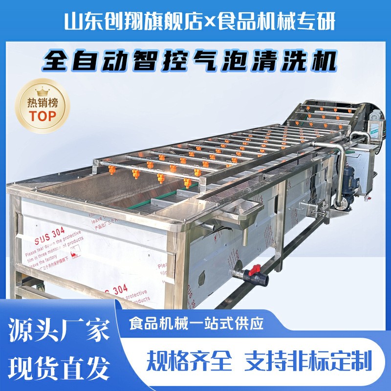 支持跨境翻轉(zhuǎn)式果蔬氣泡清洗流水線土豆番茄火龍果芒果清 洗設(shè)備