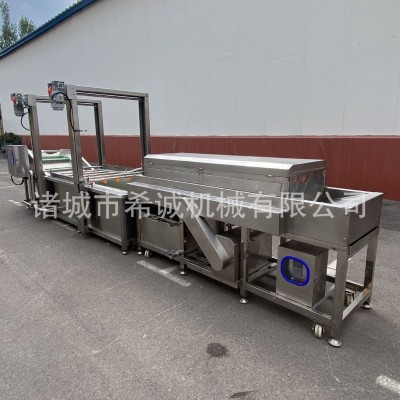 芒果毛桃橙子氣泡清洗機(jī) 藍(lán)莓荔枝清洗風(fēng)干設(shè)備 多功能果蔬清洗機(jī)