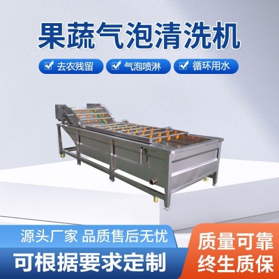 商用蔬菜氣泡清洗機 辣椒氣泡清洗機 山野菜蒲公英噴淋清洗設(shè)備